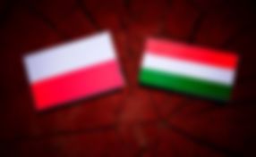 Wie Polen und Ungarn in der Gesellschaftspolitik neue Wege gehen – und andere Länder inspirieren!
